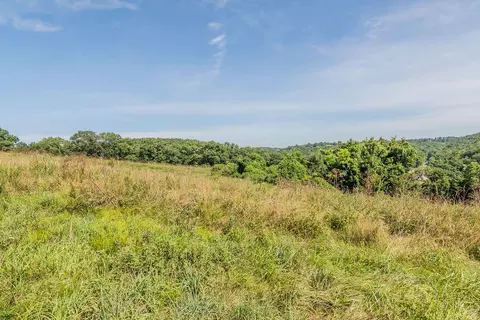 Other - 32103 State Highway 413, Galena, MO 65656 photo 23 of 35