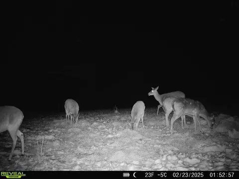 Other - 32103 State Highway 413, Galena, MO 65656 photo 34 of 35