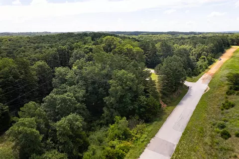 221 Peace Ln, Ridgedale, MO 65739 photo 6