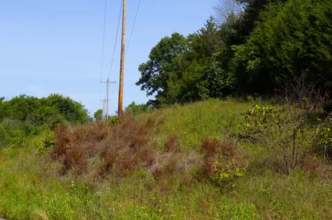 000 S 156th Rd, Brighton, MO 65617 photo 37