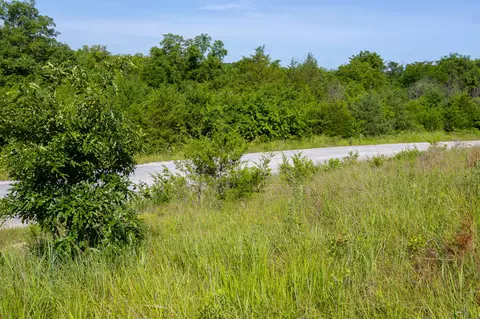 000 S 156th Rd, Brighton, MO 65617 photo 35