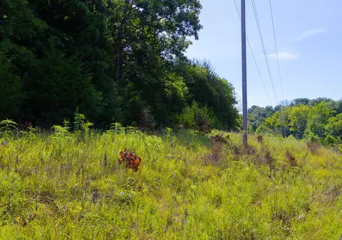 000 S 156th Rd, Brighton, MO 65617 photo 38