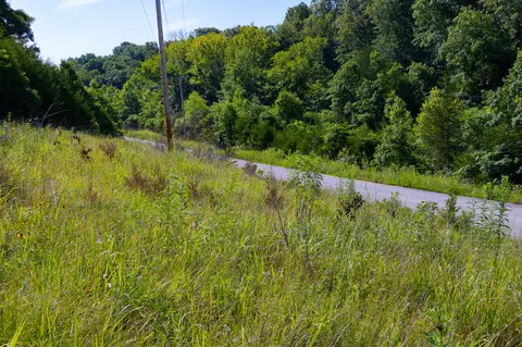 000 S 156th Rd, Brighton, MO 65617 photo 36