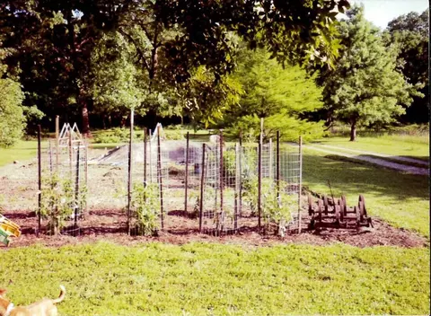 11511 County Road 5340, Rolla, MO 65401 photo 58