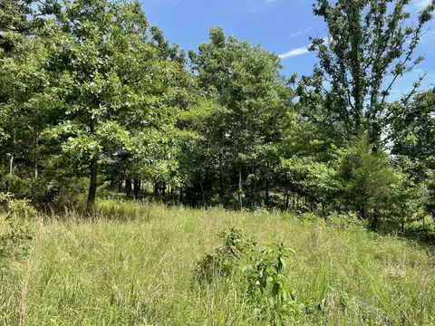11138 State Highway O, Ava, MO 65608 photo 29