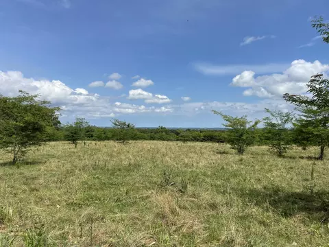 11138 State Highway O, Ava, MO 65608 photo 37