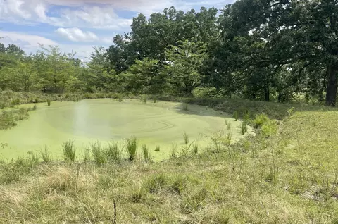 11138 State Highway O, Ava, MO 65608 photo 39