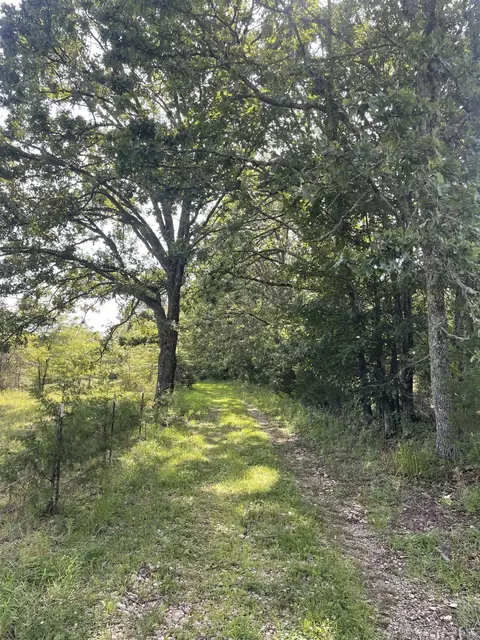 11138 State Highway O, Ava, MO 65608 photo 40