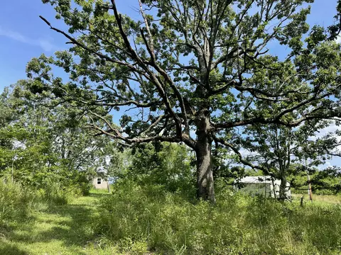 11138 State Highway O, Ava, MO 65608 photo 30