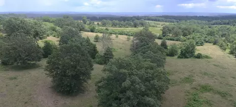 11138 State Highway O, Ava, MO 65608 photo 3