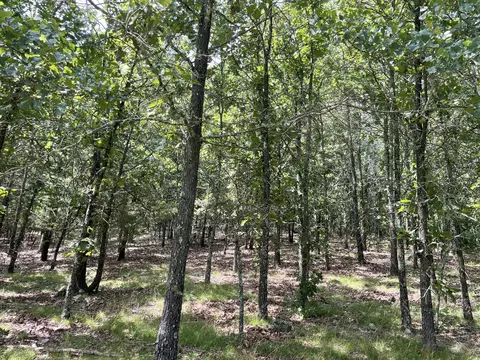 11138 State Highway O, Ava, MO 65608 photo 26
