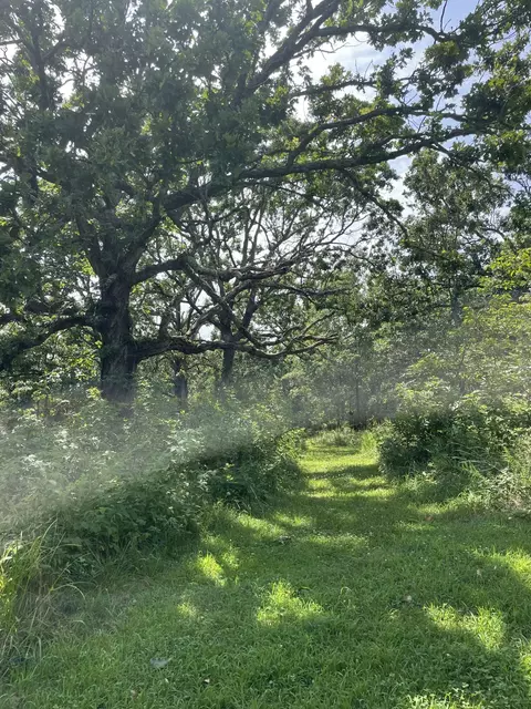 11138 State Highway O, Ava, MO 65608 photo 23