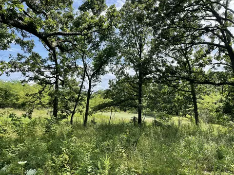 11138 State Highway O, Ava, MO 65608 photo 25