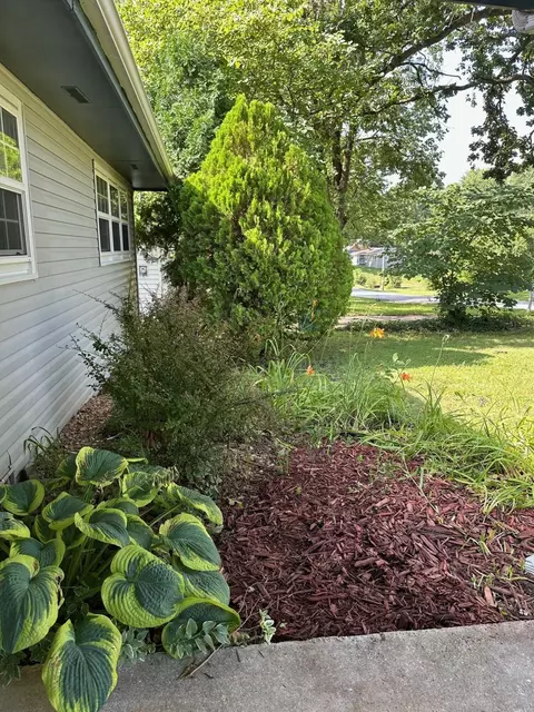 1042 S John Ave, Springfield, MO 65804 photo 31