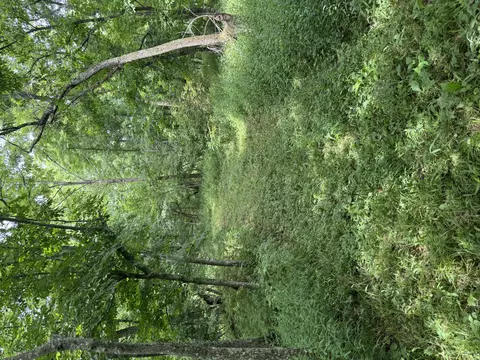 00 Post Oak, Tunas, MO 65764 photo 11