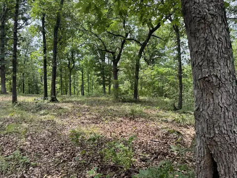 00 Post Oak, Tunas, MO 65764 photo 10