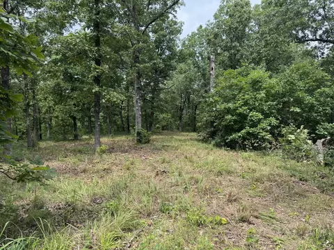 00 Post Oak, Tunas, MO 65764 photo 3