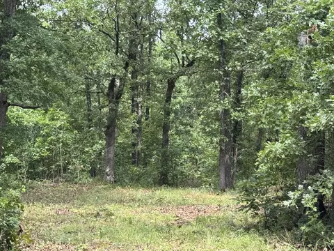 00 Post Oak, Tunas, MO 65764 photo 5