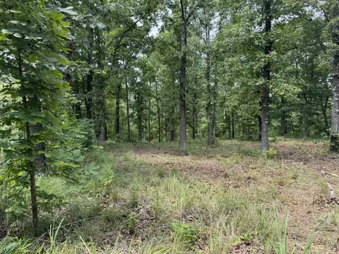 00 Post Oak, Tunas, MO 65764 photo 4