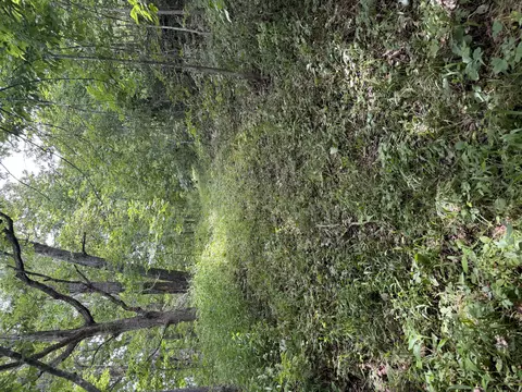 00 Post Oak, Tunas, MO 65764 photo 9