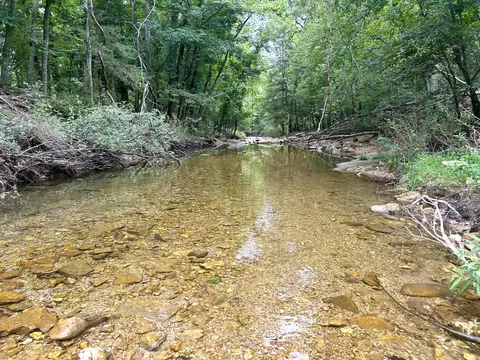 00 E Highway 14 Private Dr #B, Ava, MO 65608 photo 14