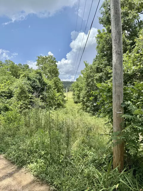 Rr 3 Box 187, Ava, MO 65608 photo 9