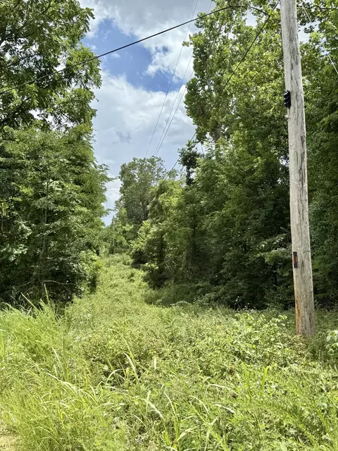 Rr 3 Box 187, Ava, MO 65608 photo 21