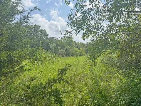 000 Lay Rd, Houston, MO 65483 photo 4