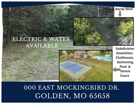 000 E Mockingbird Dr, Golden, MO 65658