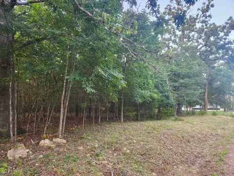 227 228 East Mockingbird Dr, Golden, MO 65658 photo 7