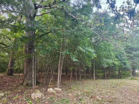 227 228 East Mockingbird Dr, Golden, MO 65658 photo 5