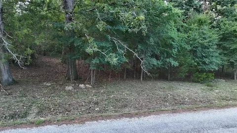 227 228 East Mockingbird Dr, Golden, MO 65658 photo 11