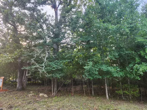 227 228 East Mockingbird Dr, Golden, MO 65658 photo 4