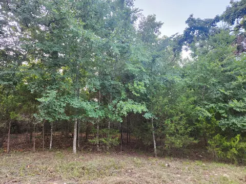 227 228 East Mockingbird Dr, Golden, MO 65658 photo 3