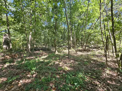65 Acres Plainview Rd, Anderson, MO 64831