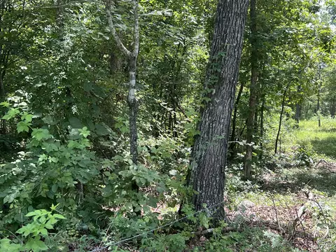 000 Foxfield Rd, Mammoth Spring, AR 72554 photo 5