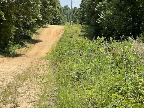 000 Foxfield Rd, Mammoth Spring, AR 72554 photo 6