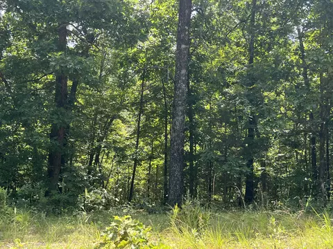 000 Foxfield Rd, Mammoth Spring, AR 72554 photo 4