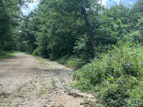 000 Foxfield Rd, Mammoth Spring, AR 72554 photo 3