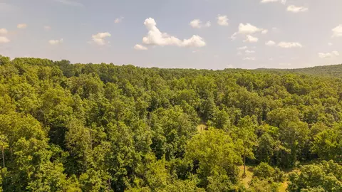 0 Bobcat Ln, Mammoth Spring, AR 72554 photo 13