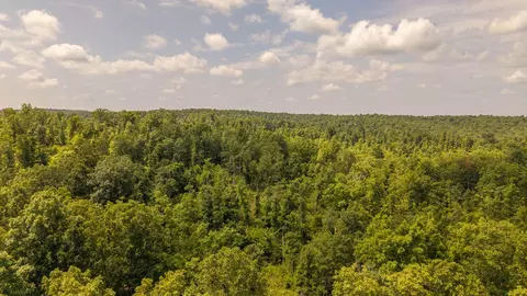 0 Bobcat Ln, Mammoth Spring, AR 72554 photo 6