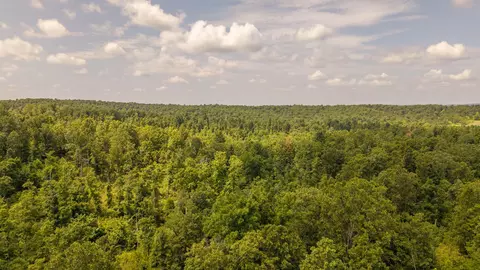0 Bobcat Ln, Mammoth Spring, AR 72554 photo 8