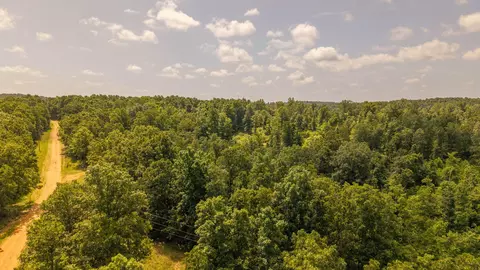 0 Bobcat Ln, Mammoth Spring, AR 72554 photo 7