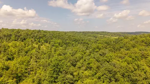0 Bobcat Ln, Mammoth Spring, AR 72554 photo 12