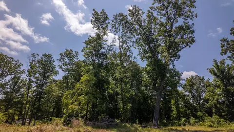 0 Bobcat Ln, Mammoth Spring, AR 72554 photo 4