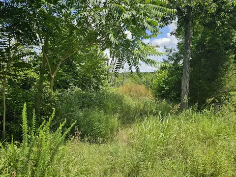 3486 N Farm Road 143, Springfield, MO 65803 photo 3