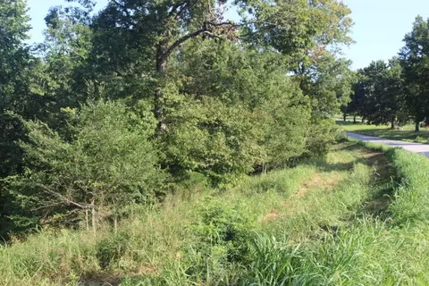 000 000 County Road 551, Tecumseh, MO 65760 photo 5