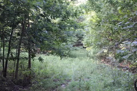 000 000 County Road 551, Tecumseh, MO 65760 photo 3