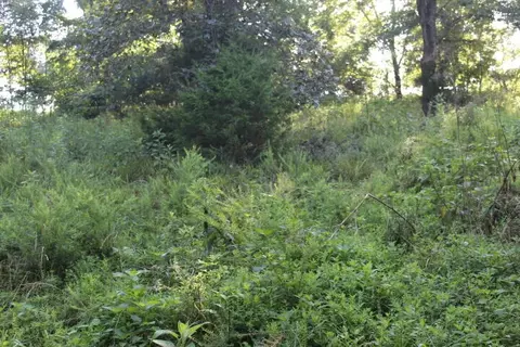 000 000 County Road 551, Tecumseh, MO 65760 photo 11