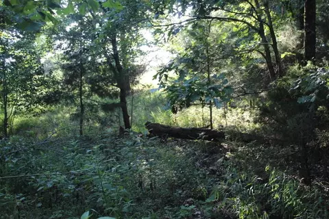 000 000 County Road 551, Tecumseh, MO 65760 photo 10